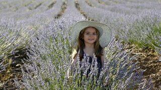 Kurak Dağlarda Mor Şölen