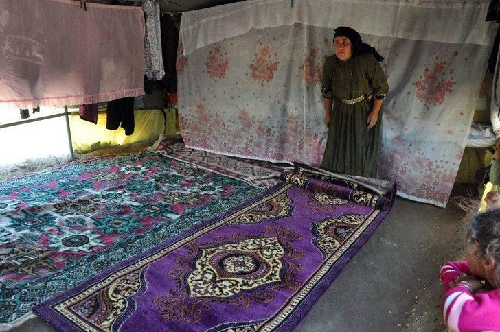 (özel Haber) Çadırlarda Geçen Hayatlar G2