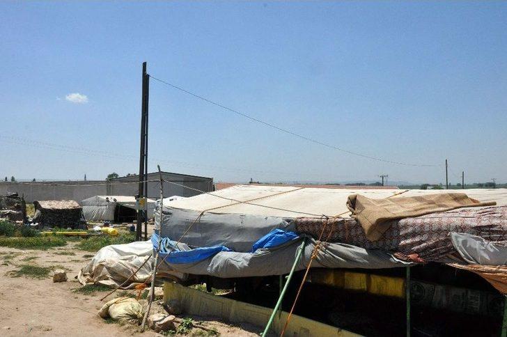 (özel Haber) Çadırlarda Geçen Hayatlar G4