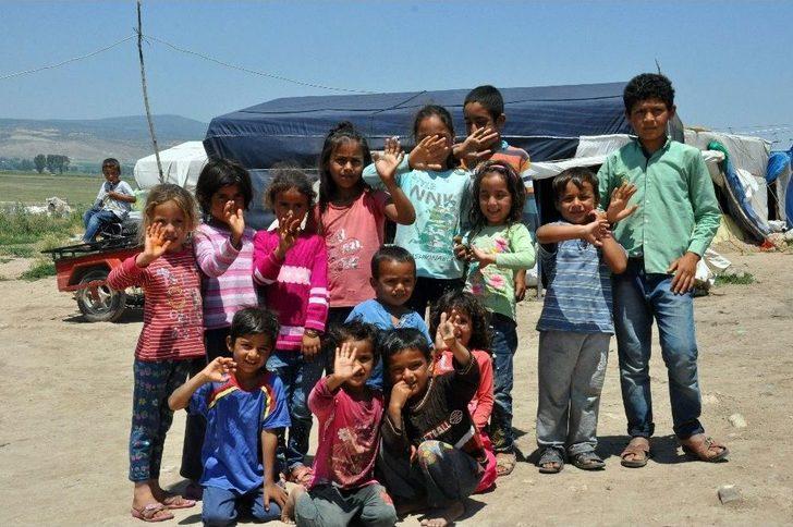 (özel Haber) Çadırlarda Geçen Hayatlar G5