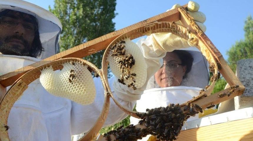 (özel Haber) Hobi Olarak Başladıkları İşten Para Kazanacaklar