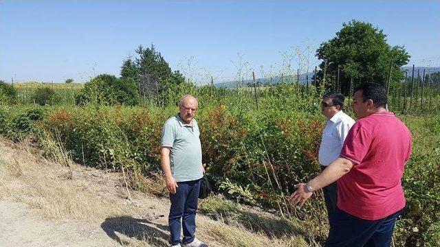 Başkan Yalçın, Ahı Dağı Yolundaki Çalışmaları İnceledi