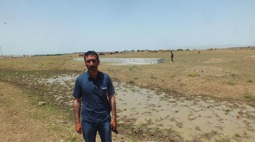 Yaylaya &Ccedil;ıkarılan Hayvanlar İ&ccedil;in Yalak Yapıldı