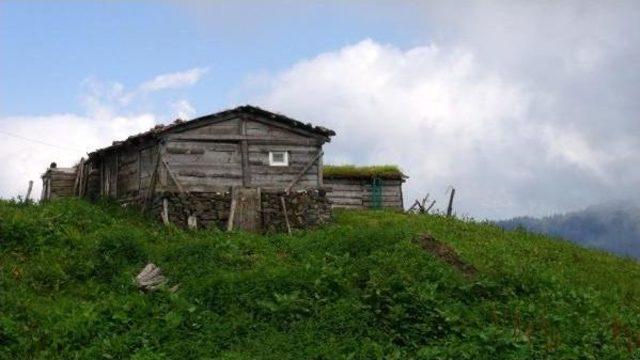 Doğu Karadeniz'de Sıcaktan Bunalanların Adresi Milli Parklar