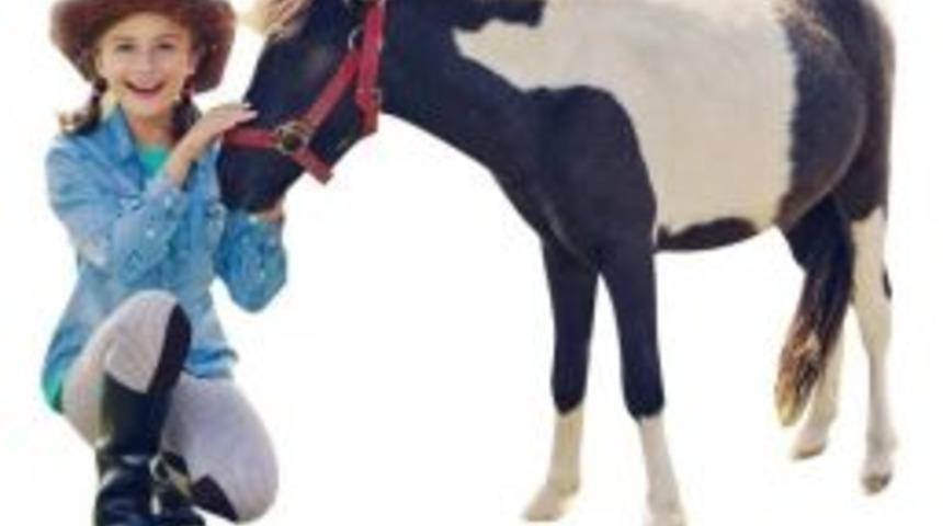 Sevimli Midilliler Minikleri Piazza’da Bekliyor