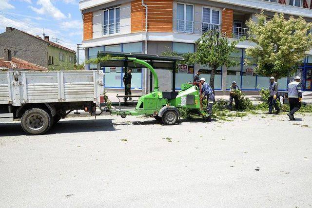 Tepebaşı’nda Dal Budama Çalışmaları Sürüyor