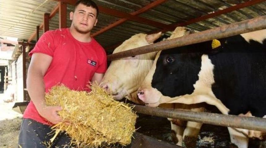 Yıldız G&uuml;reş&ccedil;inin Olimpiyat Hayali