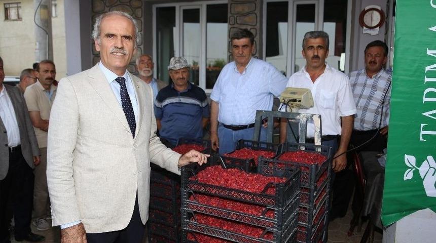 Ahudu Destekleme Alımı Başladı