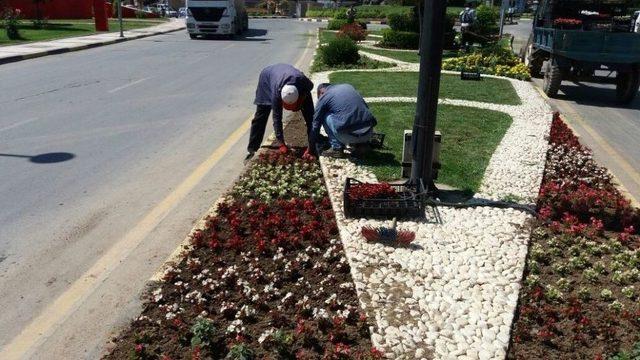 Yaz Çiçekleri Alaşehir’i Renklendiriyor 2