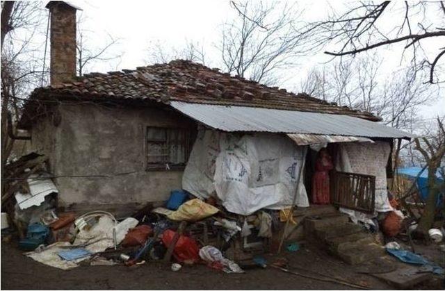 Fatsa’da Temiz Evim Projesi 1