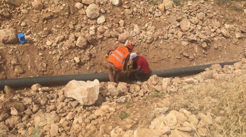 Mardin Büyükşehir Belediyesinden Tarımsal Çalışmalar