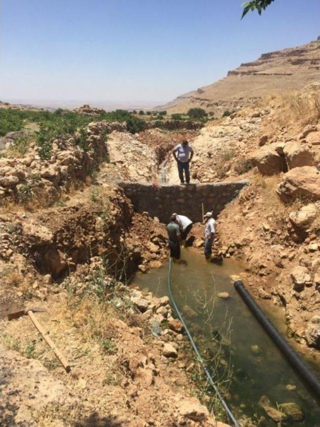 Mardin Büyükşehir Belediyesinden Tarımsal Çalışmalar