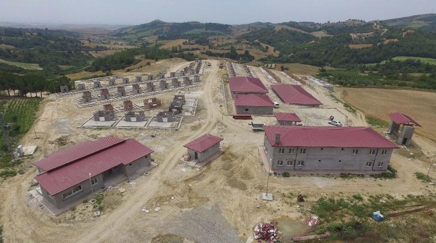 Adana&rsquo;ya Modern Hayvan Barınağı