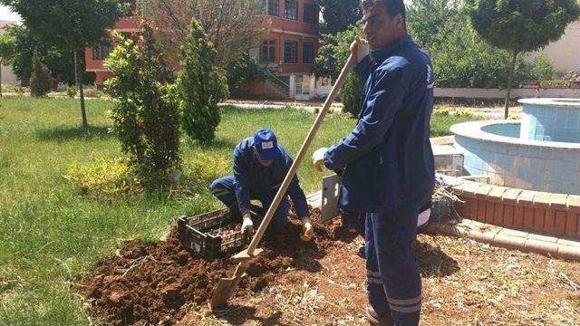 Kilis Park Ve Bahçeler Müdürlüğü Çalışmalarına Devam Ediyor