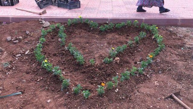 Kilis Park Ve Bahçeler Müdürlüğü Çalışmalarına Devam Ediyor