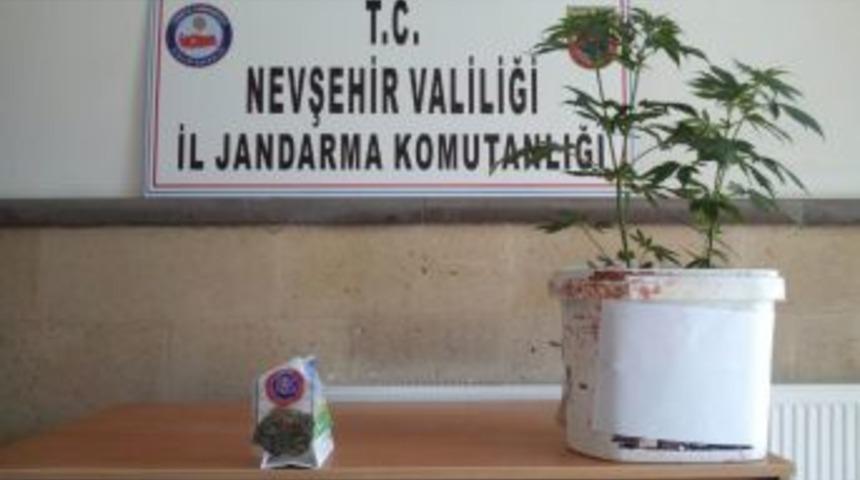 Nevşehir&rsquo;de Esrar Yakalatan 1 Kişi G&ouml;zaltına Alındı