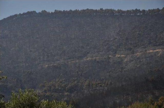Denizli deki Orman Yangında S&ouml;nd&uuml;rme &Ccedil;alışmaları S&uuml;r&uuml;yor 2