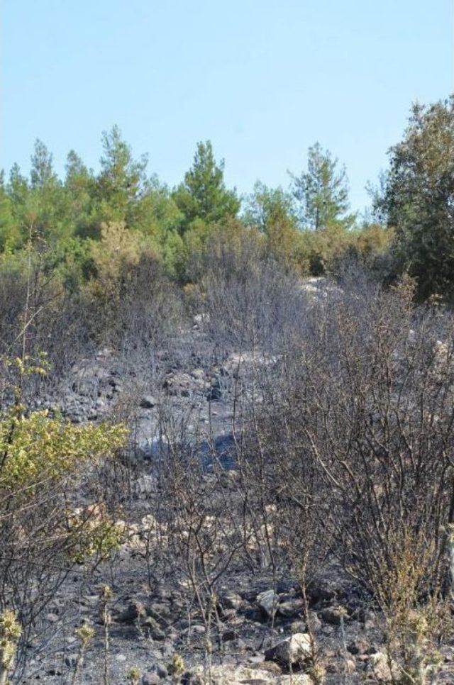 Denizli deki Orman Yangında S&ouml;nd&uuml;rme &Ccedil;alışmaları S&uuml;r&uuml;yor 3