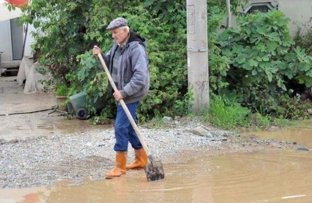 Çınarcık'ta Yağış Su Baskınına Neden Oldu (2)