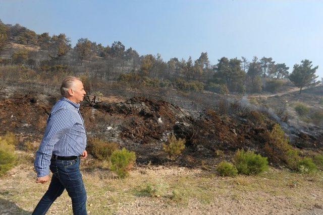 Başkan Zolan: “yangının Yaralarını Saracağız”