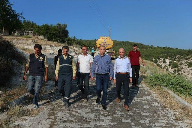 Başkan Zolan: “yangının Yaralarını Saracağız”