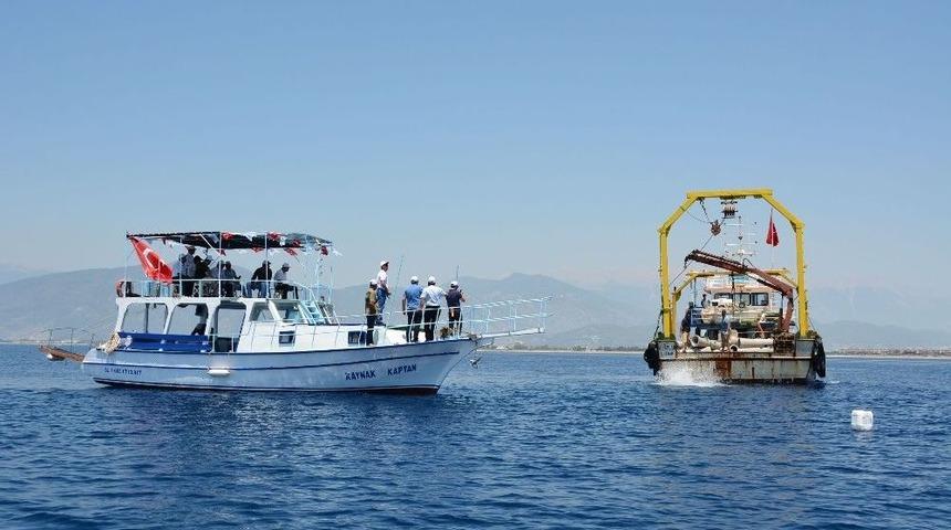 Deniz Altında Canlı Rezervinin Arttırılması