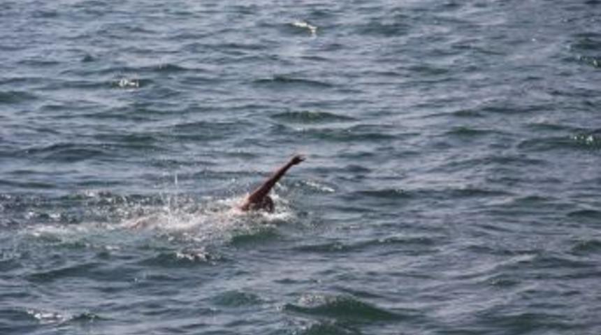 Aşırı Sıcaklarda Baraj, Gölet Ve Sulama Kanallarında Boğulma Oranı Artıyor