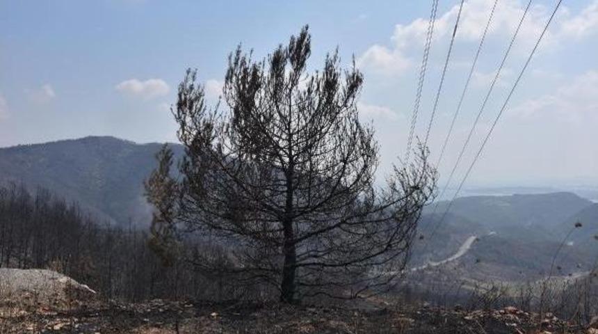 İzmir Menderes'teki Orman Yangınında Bekleyiş S&uuml;r&uuml;yor