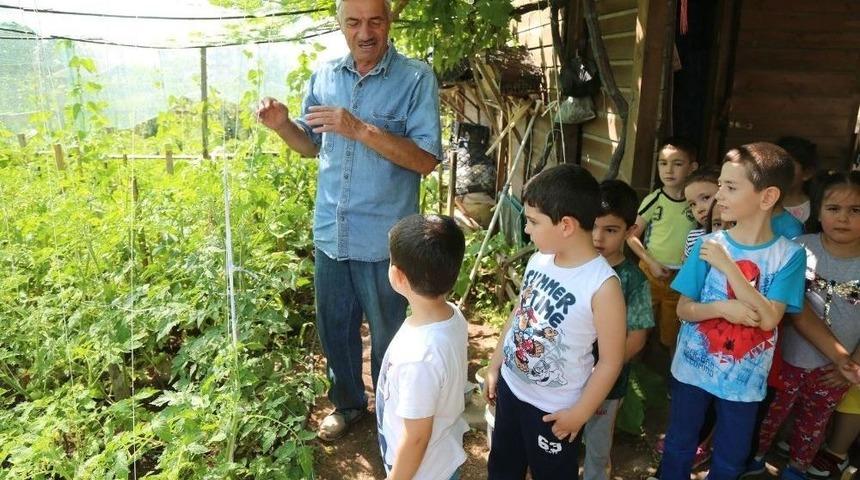 Minikler Toprakla Buluştu