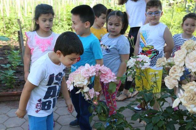 Minikler Toprakla Buluştu 1