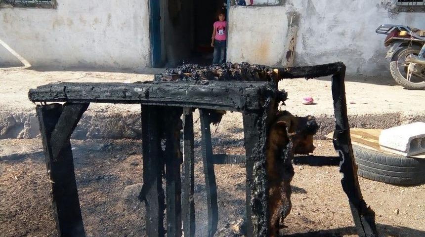 Faciayı Dondurmacı &Ouml;nledi