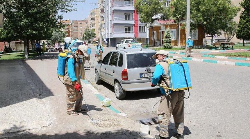 Haliliye&rsquo;de İla&ccedil;lama &Ccedil;alışmaları Aralıksız S&uuml;r&uuml;yor