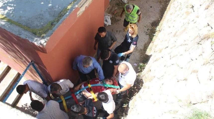 K&ouml;pekten Korktu, Duvardan Aşağı D&uuml;şt&uuml;