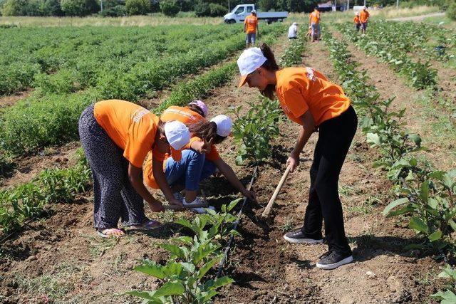 3. Tarım Kampı Başladı