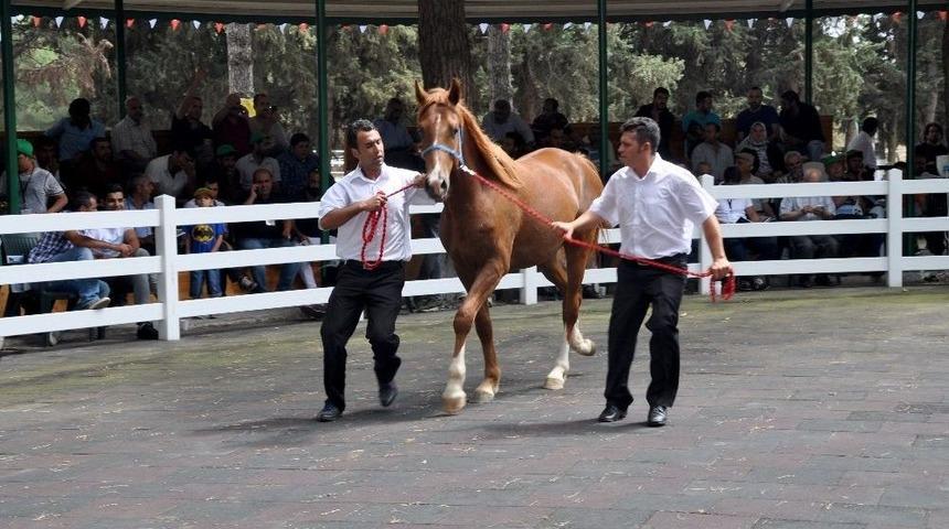 L&uuml;ks Daire Fiyatına Taylar Kapışıldı