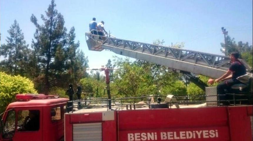 Ağa&ccedil;ta Mahsur Kalan Papağanı İtfaiye Kurtardı