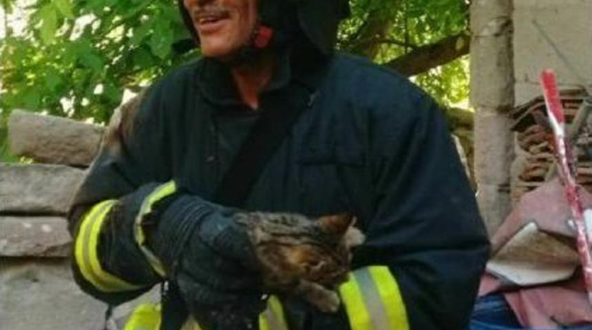 Kuyuya D&uuml;şen Kediyi Itfaiye &Ccedil;ıkardı