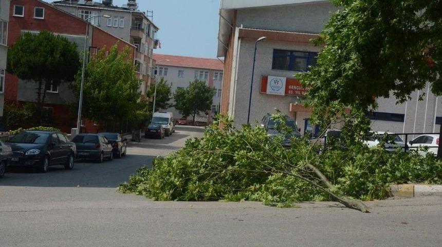 Sinop&rsquo;ta Şiddetli R&uuml;zgar Hasara Neden Oldu
