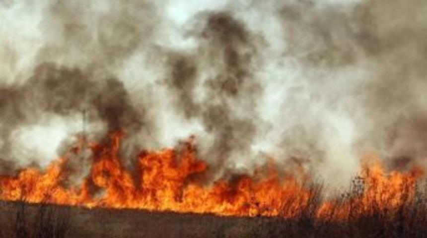 Kırklareli&rsquo;nde Buğday Tarlası Yangını