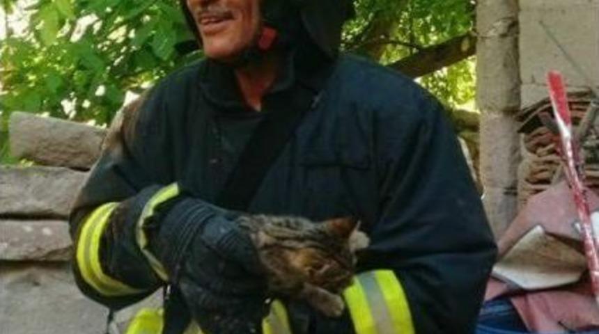 Kuyuya D&uuml;şen Kediyi İtfaiye Ekipleri Kurtardı