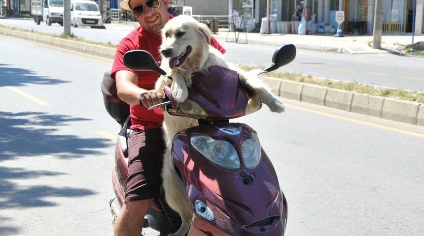 Sokaktan Gelen Dostluk