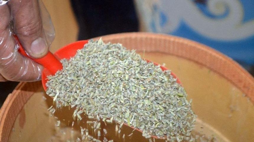 Vatandaşlar Sivrisineklere Karşı &Ccedil;&ouml;z&uuml;m&uuml; Lavantada Buldu