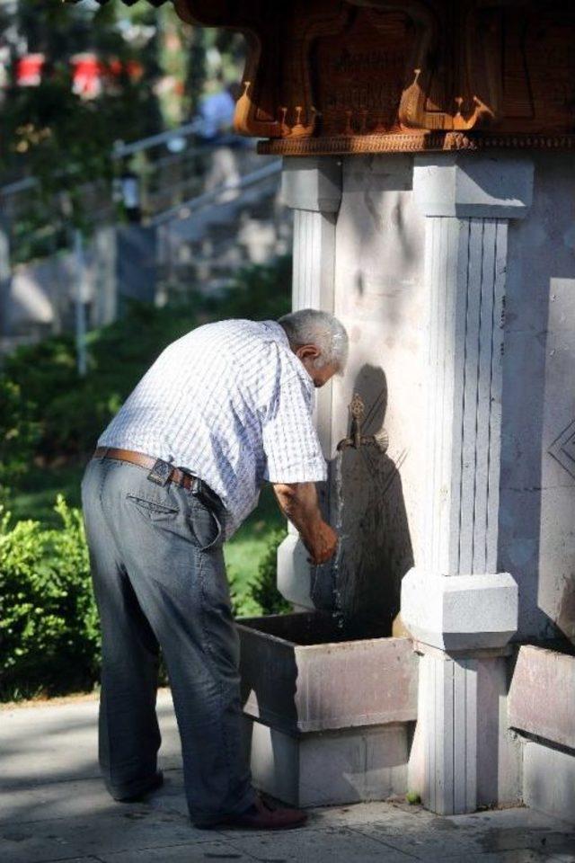 Kavurucu Sıcaklarda Park Serinliği