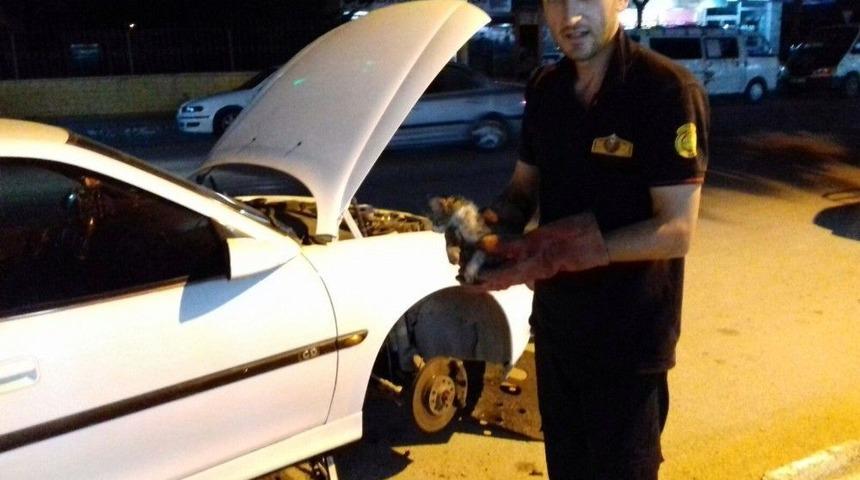Otomobilin Motor B&ouml;l&uuml;m&uuml;ne Sıkışan Kedi, 2 Saatte Kurtarıldı