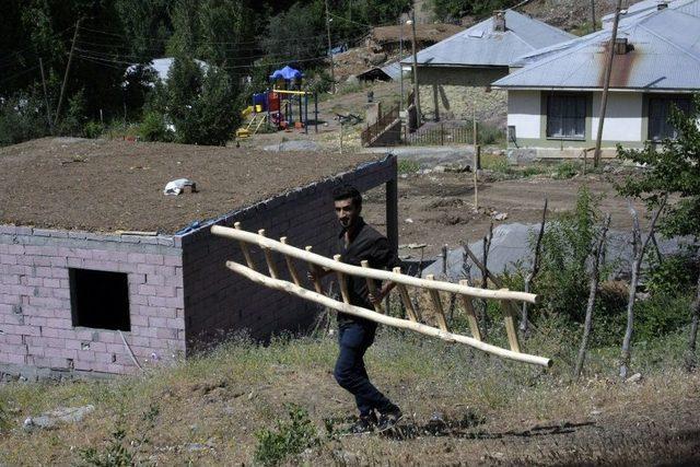 Şebeke Bulmak İçin Ağaçlara Tırmanıp, Dağa Çıkıyorlar