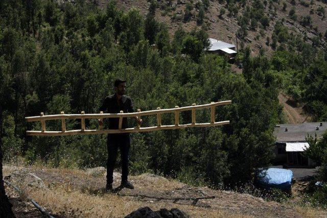 Şebeke Bulmak İçin Ağaçlara Tırmanıp, Dağa Çıkıyorlar