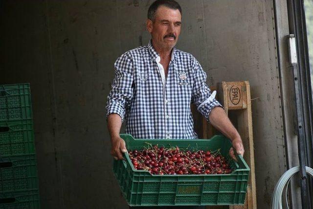 Söke’nin Kirazı Rotasını Uzakdoğu’ya Çevirdi