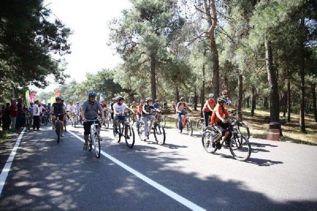 Başakşehir Şamlar Tabiat Parkı Bisiklet Tutkunlarına Açıldı
