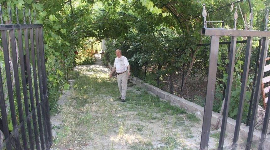 B&ouml;lgenin İlk Ve Tek &rsquo;hobi Bah&ccedil;esi&rsquo; Şaphane&rsquo;de