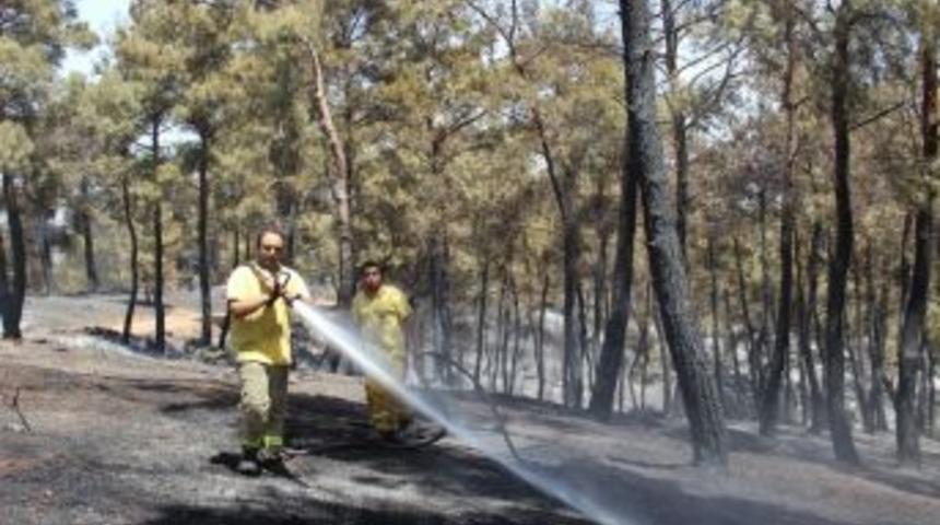Ezine&rsquo;deki Yangın Tamamen Kontrol Altında